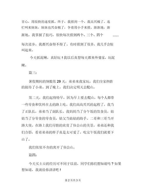 暑假日记200字作文(共四篇)