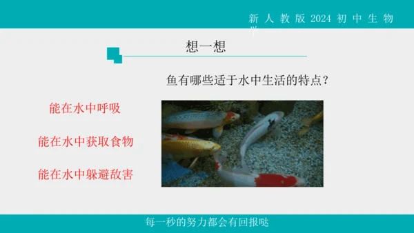 人教版生物七年级上册2.2.2《脊椎动物》（第1课时）课件(共42张PPT)+视频素材