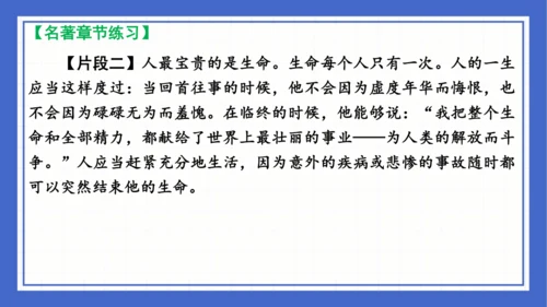 名著导读《钢铁是怎样炼成的》复习课件-2023-2024学年统编版语文八年级下册(共63张PPT)