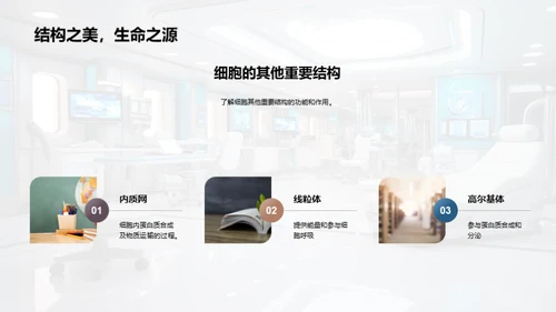 探索细胞之谜