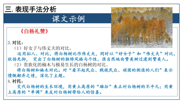 专题06 散文阅读【考点串讲】-2023-2024学年八年级语文上学期期末考点大串讲（统编版）(共3