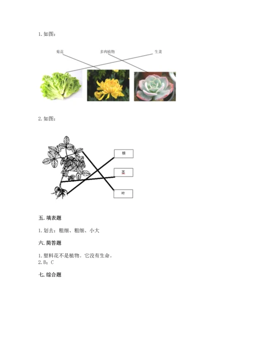 教科版科学一年级上册第一单元《植物》测试卷带答案（综合题）.docx