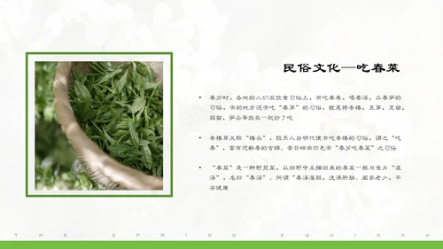 春分春天的白花通用PPT模板
