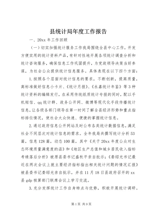 县统计局年度工作报告.docx