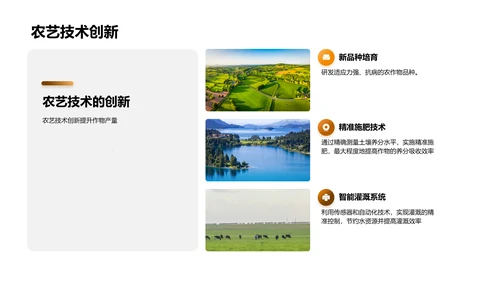 农业项目进展与展望