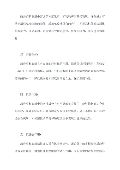 蒲公英加石斛功效和作用