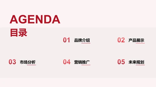 《红星照耀中国》心得体会分享PPT模板