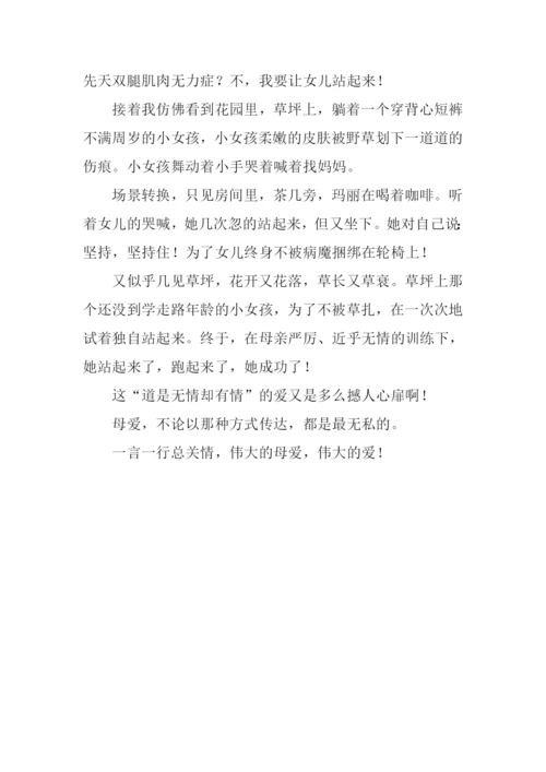 一言一行总关情作文500字.docx