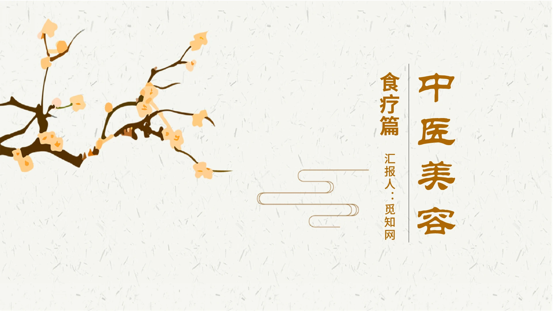 黄色金黄色国风中国风传统文化古典中医美容PPT模板教育培训中医美容2
