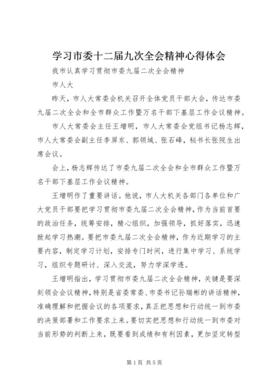 学习市委十二届九次全会精神心得体会 (3).docx