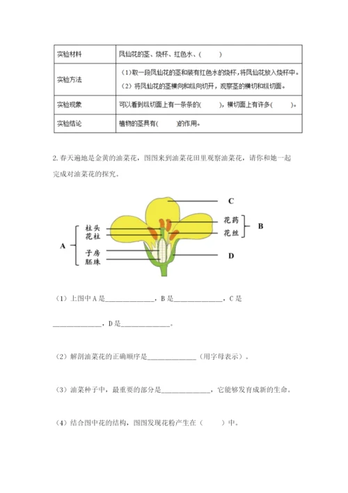 教科版科学四年级下册第一单元《植物的生长变化》测试卷精品（全优）.docx