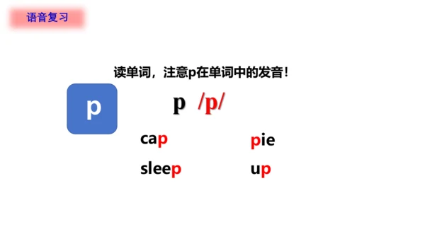 Unit 2 In the library(复习课件)-2023-2024学年三年级英语下学期期中核