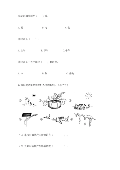 教科版二年级上册科学期末测试卷及参考答案【黄金题型】.docx