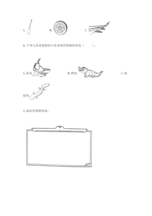教科版一年级下册科学期末测试卷及参考答案【培优a卷】.docx