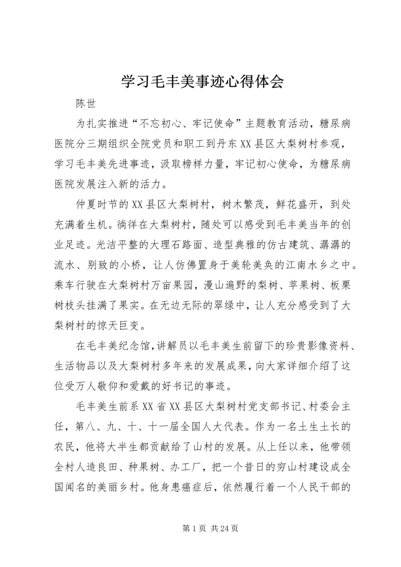 学习毛丰美事迹心得体会.docx