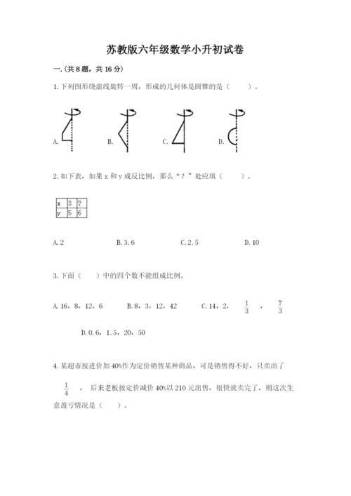 苏教版六年级数学小升初试卷（培优b卷）.docx