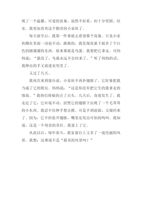 描写春天景色的作文-2.docx