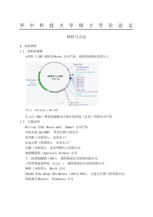 麦胚无细胞蛋白合成系统表达恶性疟原虫环子孢子蛋白的分析病原生物学专业毕业论文