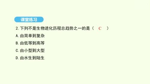 7.3.2生物进化的历程课件-人教版生物八年级下册(共23张PPT)