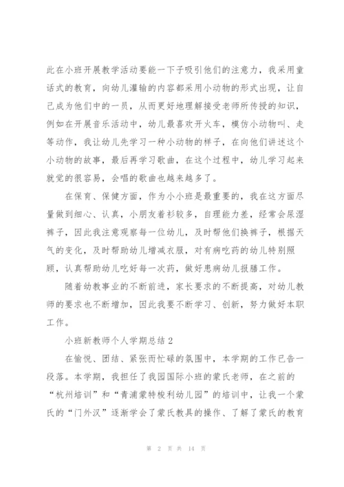 小班新教师个人学期总结5篇.docx