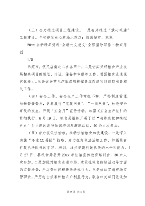 粮食局XX年上半年工作总结及下半年工作计划 (2).docx