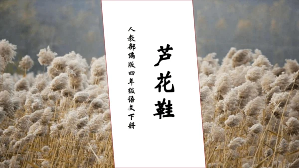 【核心素养】部编版语文四年级下册-21.芦花鞋（课件）