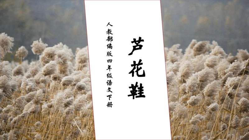 【核心素养】部编版语文四年级下册-21.芦花鞋（课件）