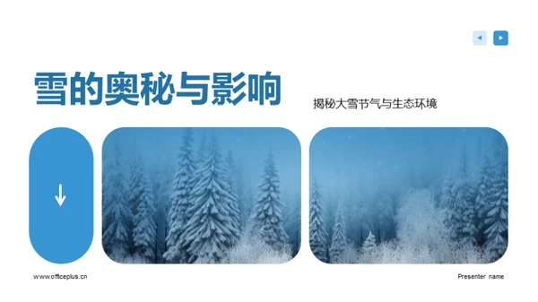 雪的奥秘与影响