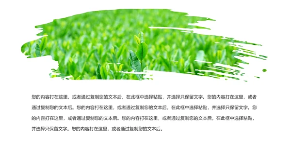 唯美绿色茶园文化茶艺品茶论道动态PPT模板