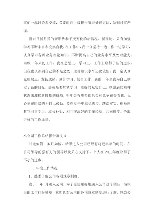 小公司工作总结报告范文.docx