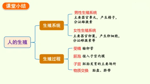 4.1.1人的生殖-七年级生物下学期同步精品课件（2024人教版）(共24张PPT)