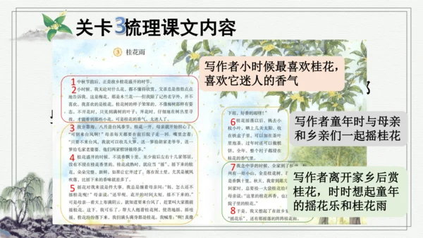 部编版五年级上册语文 3 桂花雨 课件
