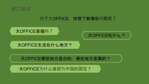 国宝大熊猫语文课教学课件通用PPT模板