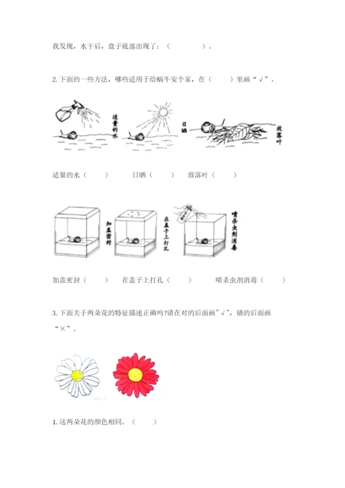 教科版一年级下册科学期末测试卷精品（能力提升）.docx