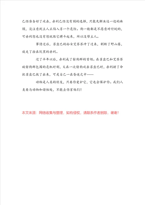 第七条猎狗读后感范文