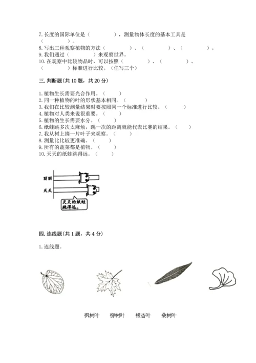 教科版一年级上册科学期末测试卷【考试直接用】.docx