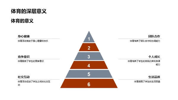 高三体育理论洞察