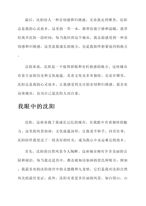 沈阳我的故乡感想