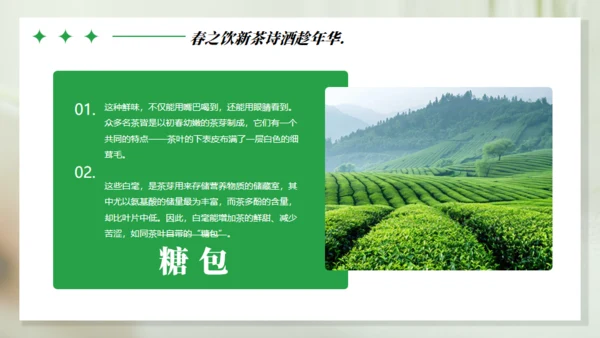 浪漫的春天主题通用PPT模板