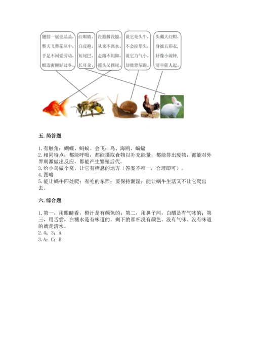 教科版一年级下册科学期末测试卷附答案【培优a卷】.docx