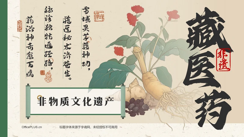 绿色复古风非遗文化介绍——藏医药PPT模板