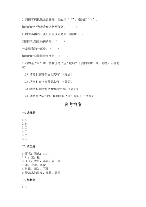 教科版科学一年级上册第一单元《植物》测试卷及参考答案（b卷）.docx
