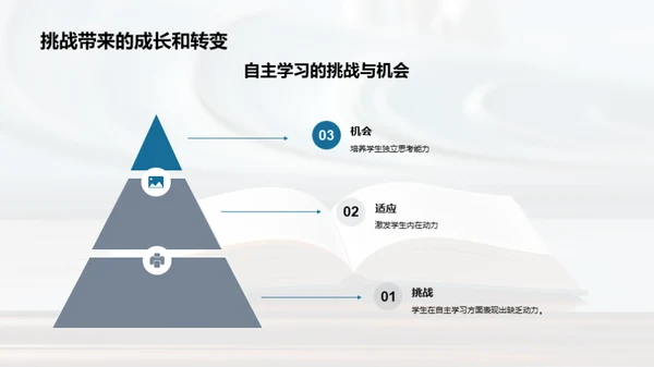 自主学习：突破与优化