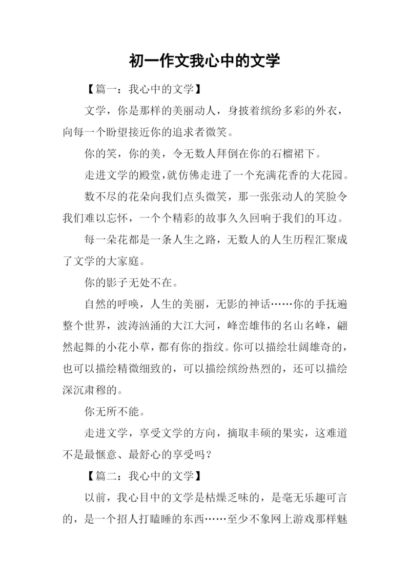 初一作文我心中的文学.docx