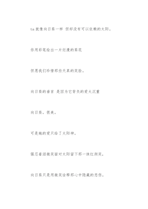 描写向日葵优美句子.docx