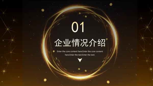 黑金风房地产融资计划书通用PPT模板
