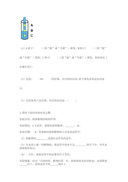 科学四年级下册第一单元植物的生长变化测试卷及答案【典优】.docx