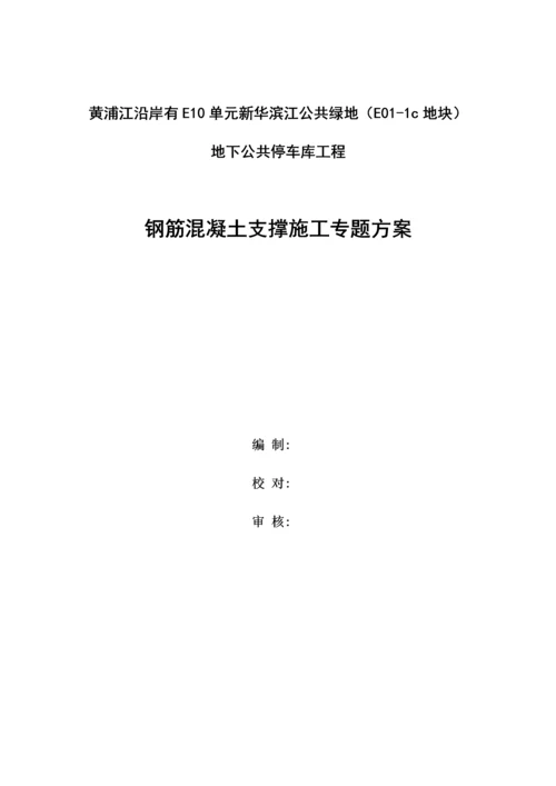 支撑综合项目施工专项方案.docx