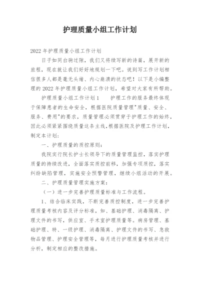 护理质量小组工作计划_2.docx