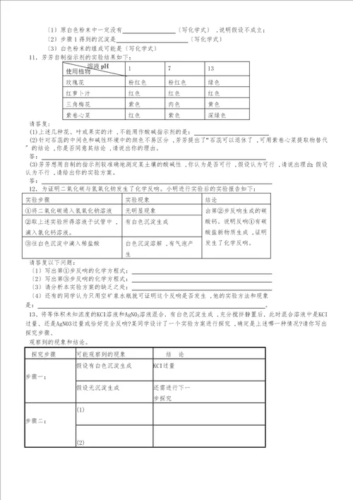 九年级化学探究题